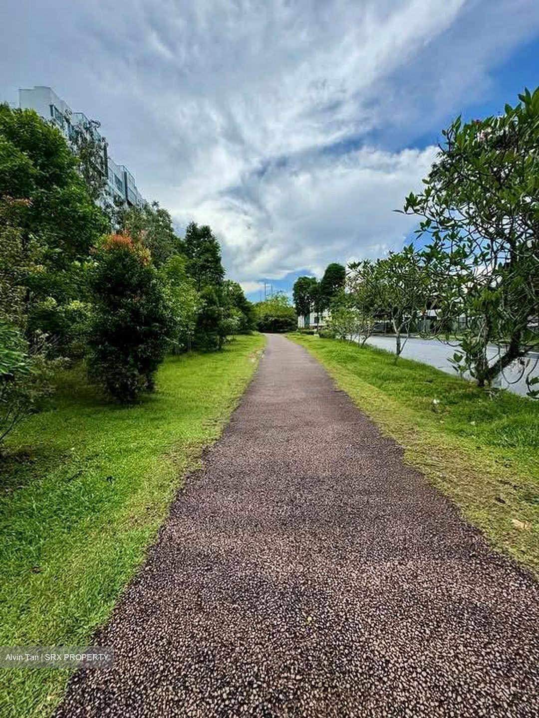Bukit Timah Road (D21), Detached #581151341